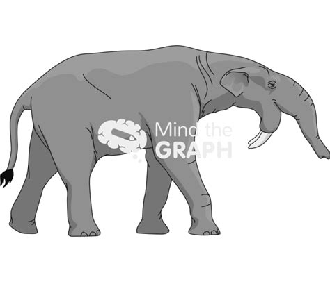 Deinotherium proboscidea