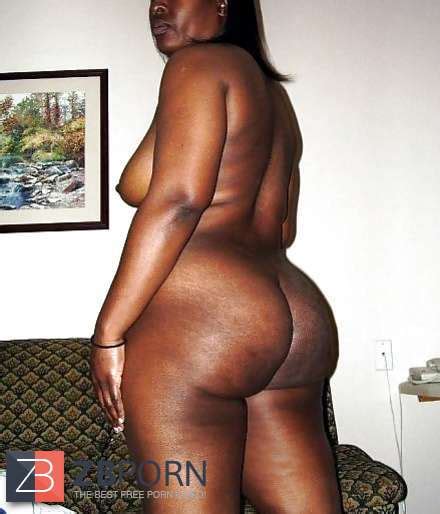 Yam Sized Ebony Arses Vol II ZB Porn