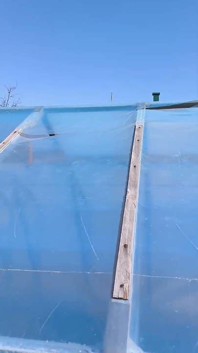 пленка десногорская на теплице #теплица #десногорск #плёнка - YouTube