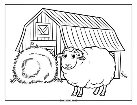sheep coloring pages  kids adults