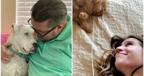 Картины из скотча » BigPicture.ru