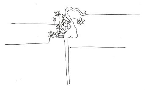 Garlic Anatomy0002 Herbal Roots Zine