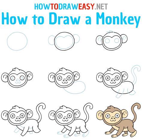How To Draw A Monkey Draw For Kids