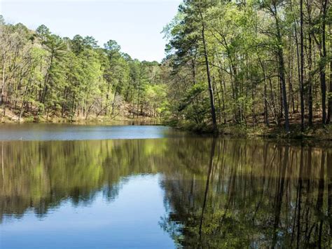 10 Things You Must Know Before Moving To Sanford Nc 2025