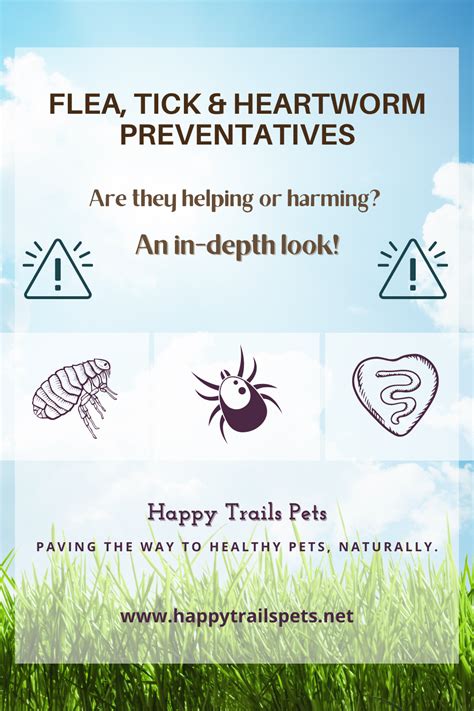 Flea tick heartworm preventives are they helping or harming an in depth ...