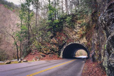 2026 Visiting Great Smoky Mountains National Park? Here's The Ultimate