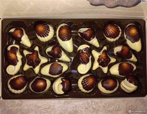 Конфеты Baronie Belgium nv Fruits de mer - «🍫 Самые вкусные и красивые ...