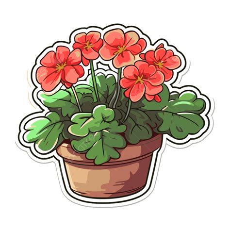 Geraniums Clipart School