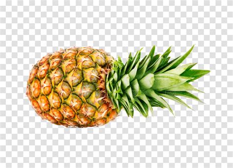 Y Ananas Plant Pineapple Fruit Food Transparent Png
