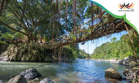 Jembatan Aka Visit Beautiful West Sumatra