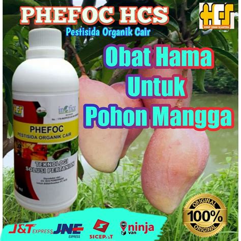 Jual Phefoc Hcs Obat Hama Utk Pohon Mangga Pestisida Organik Cair