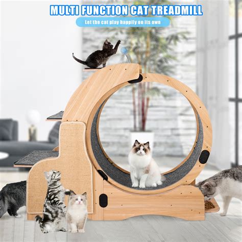 Pefilos Cat Exercise Wheel For Indoor Cats Large Cat Running