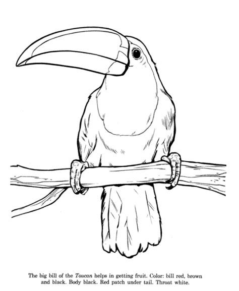 kruger national park kids travel activities ideas coloring pages
