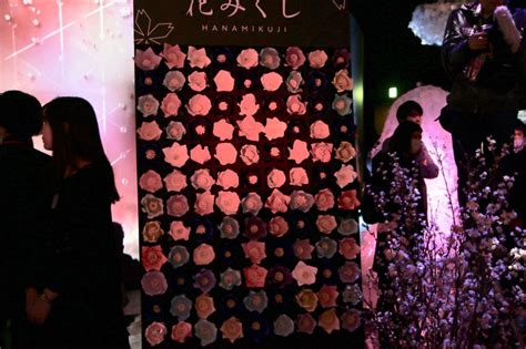 日本一早いお花見が今年も日本橋で開催今年は360度桜で囲まれた空間が登場花のイマーシブイベントFLOWERS BY NAKED 2019