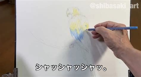 Watercolor By Shibasaki🎨柴崎春通 On Twitter 柴崎おじいちゃん先生、ファーバーカステル水彩色鉛筆「忖度