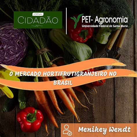 O Que É Hortifrutigranjeiro - O mercado hortifrutigranjeiro no Brasil – PET Agronomia