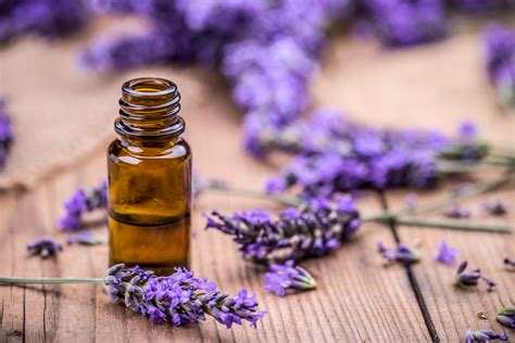 Olio Essenziale Di Lavanda Come Usarlo E Quale Scegliere