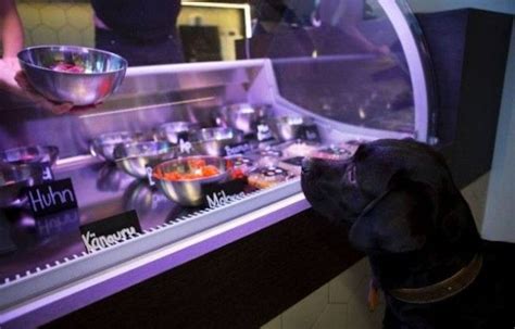 A gourmet deli for pets actually exists in Germany | Pets, Restaurant ...