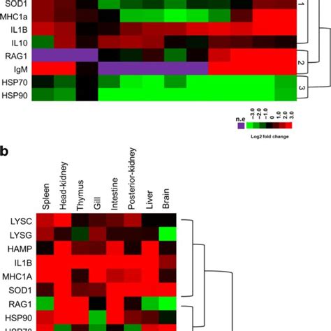 The Ontogenetic A And Tissue Specific Expression B Of Immune Genes