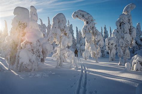 New Year Retreat in Wild Sweden — WildSweden - wildlife adventures in