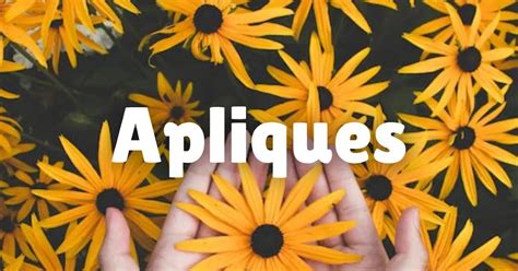 Patrones De Apliques Florales Fáciles A Ganchillo Ebook No 186 R