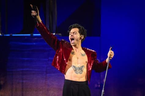 Harry Styles Has A Pleasing New Sex Toy Line Socialite Life