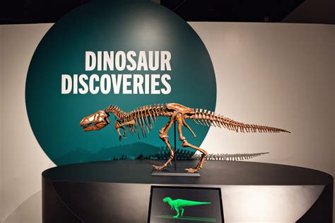 Dinosaur Discoveries: Ancient Fossils, New Ideas at University of