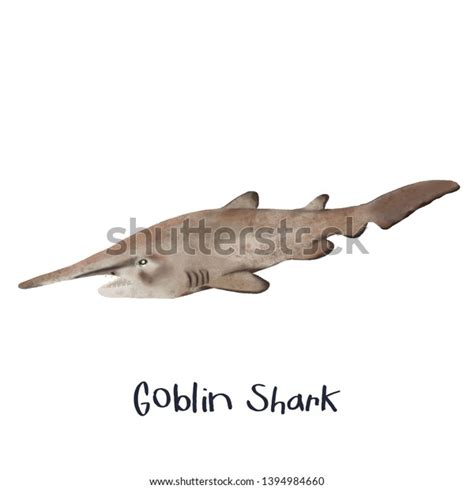 Goblin Shark Fish Realistic Illustration Stock Illustration 1394984660