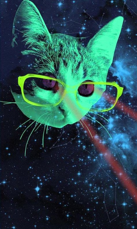 17 ideas de Yo gato espacial ilustraciones ilustración del espacio