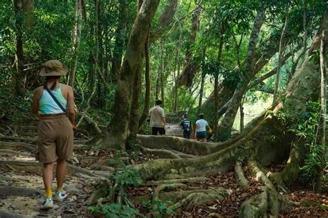 Premium Photo Pahang Malaysia May Tourists Enjoying Jungle