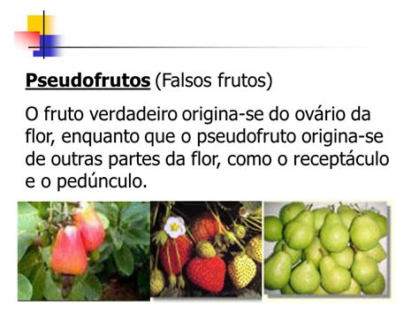 O Que é Um Pseudofruto - 5