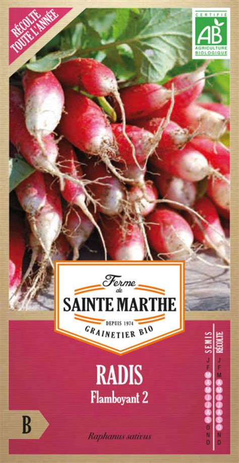 Graines De Radis Flamboyant Bio FERME DE SAINTE MARTHE Gamm Vert