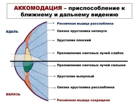 Механические прицелы