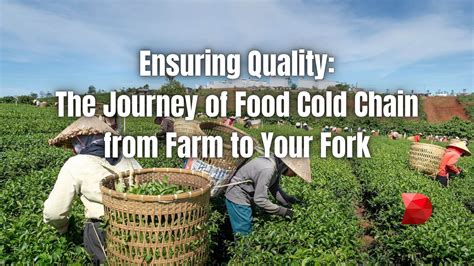 Ensuring Quality The Journey Of Food Cold Chain Datamyte