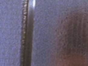 Lynn Borden Nude Aznude