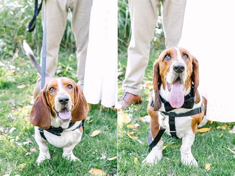 Grand Rapids Michigan Engagement | JaLisa & Ben - Stephanie Parshall
