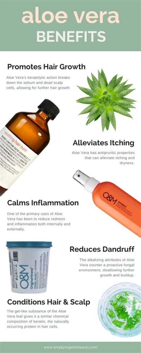 5 Benefits of Aloe Vera For Hair