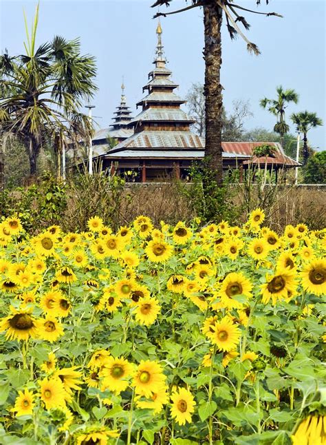 chin state explore christophermichels   flickr