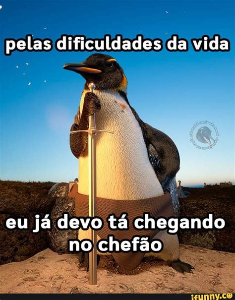 Pelas Dificuldades Da Vida Eu J Devo T Chegando No Chef O Ifunny Brazil