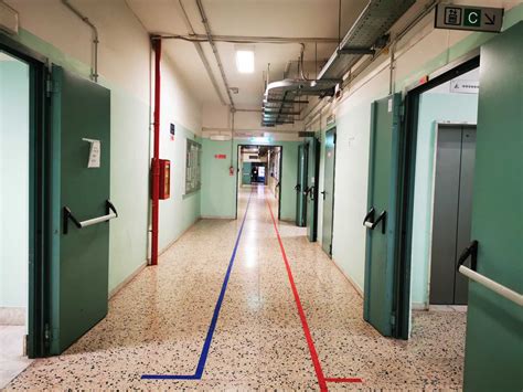 Covid Nuovi Casi E Quattro Decessi A Latina E Provincia Luna