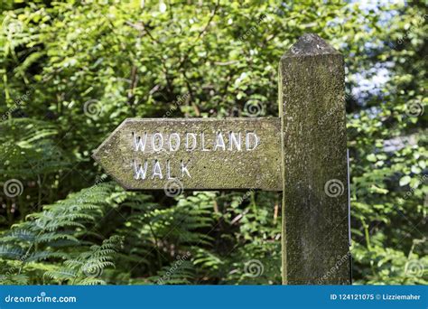 Woodland Walk Sign Stock Image Image Of Point Direction 124121075