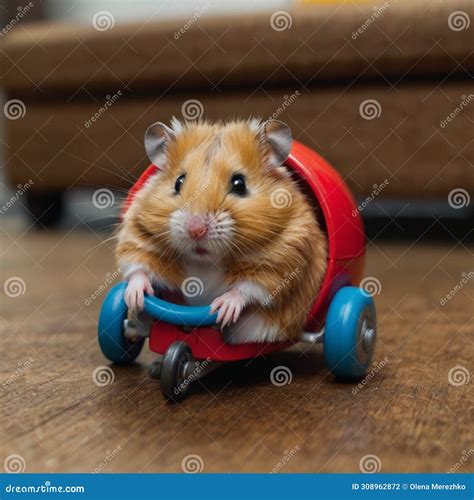 how to hamster hiding for beginners 2