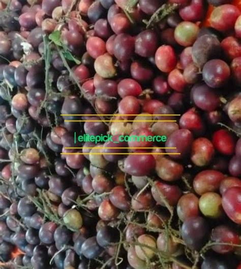 Buah Kristal 1kg Food And Drinks Fresh Produce On Carousell