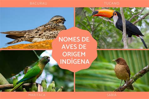 Nomes De Origem Indigena - 8