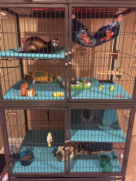 Cool Ferret Cage Designs