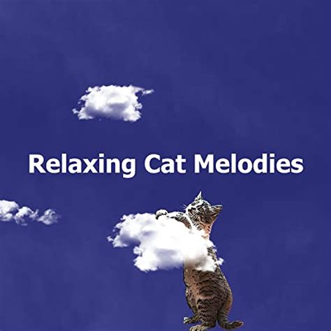 Play Relaxing Cat Melodies by Relaxing Cat Music on Amazon Music