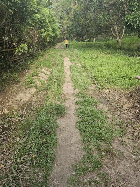 Affordable Lot For Sale Maco Davao De Oro Compostela Valley 1 Property