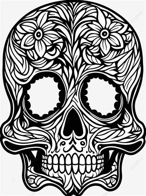 Hand Drawn Front Skull Illustration Isolated On Background Vector