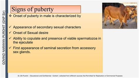 Andrology Lecture Puberty And Sex Maturity PDF Infertility