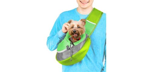 13 Best Dog Sling Carriers for Every Adventure | Catchy Shopper